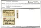 Karteikarte zum Syntyp von Nodosaria knihnitziana Karrer, 1877